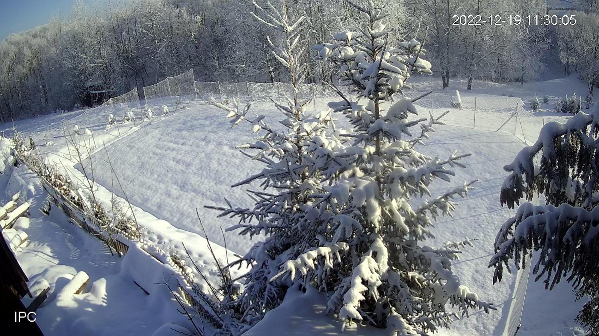 Noclegi Nad Czarna Orawa Podwilk ภายนอก รูปภาพ