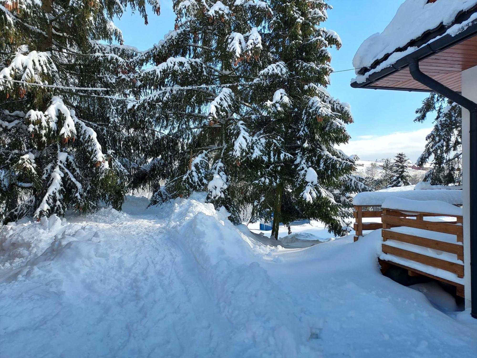 Noclegi Nad Czarna Orawa Podwilk ภายนอก รูปภาพ