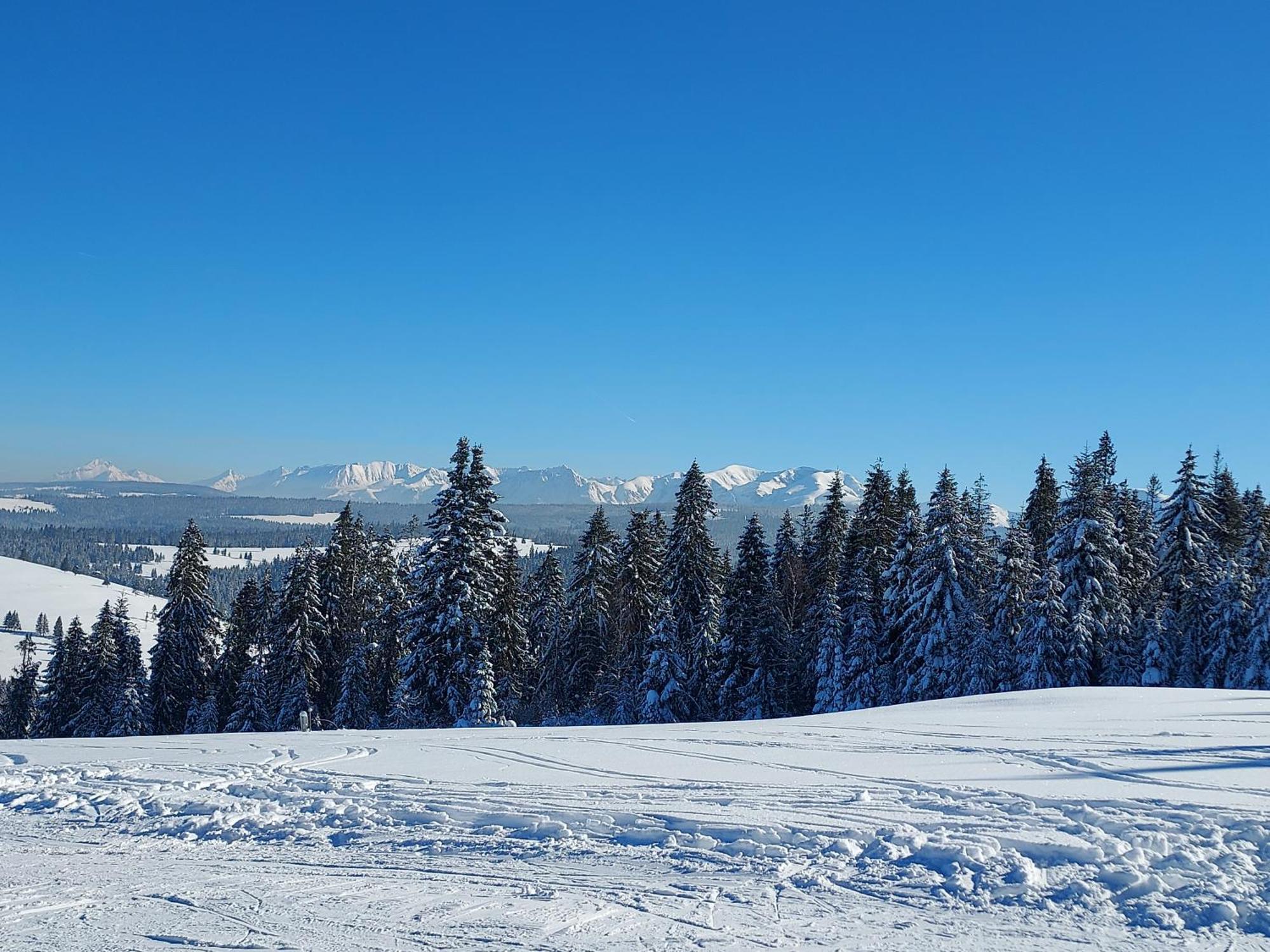 Noclegi Nad Czarna Orawa Podwilk ภายนอก รูปภาพ